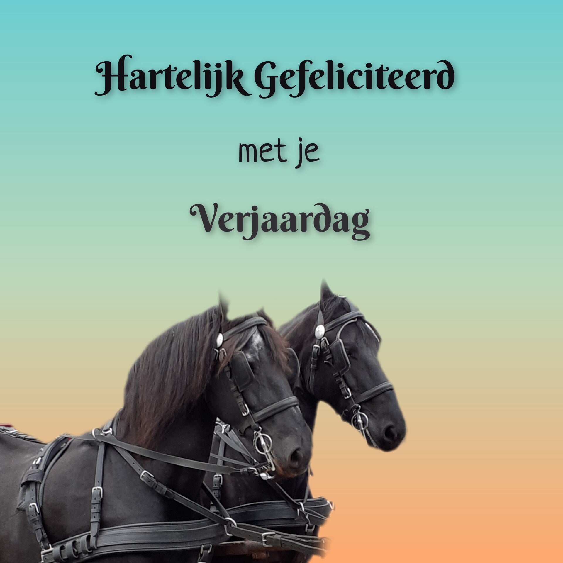 Zwarte paarden
