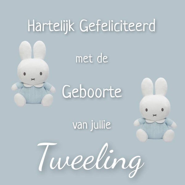 Nijntje blauw