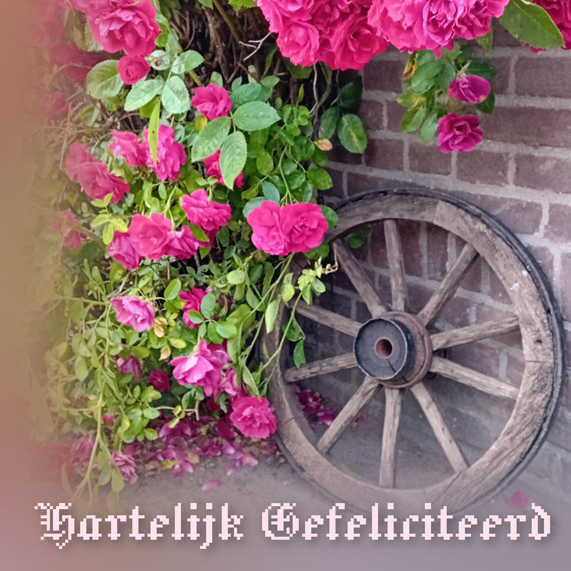 Rozen-houten wiel