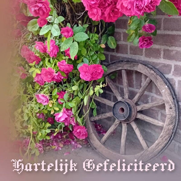 Rozen-houten wiel