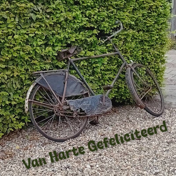 Fiets