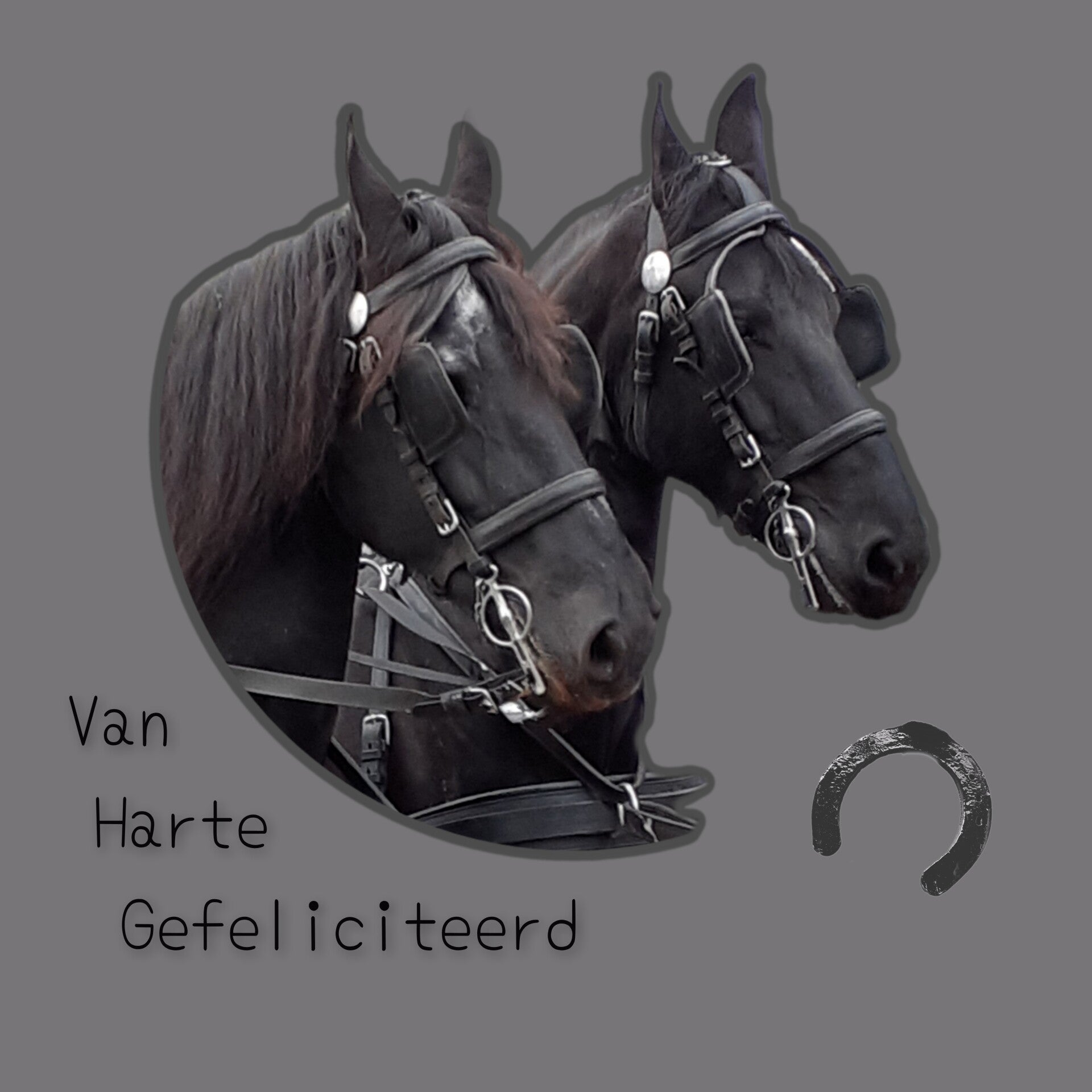 Zwarte paarden1