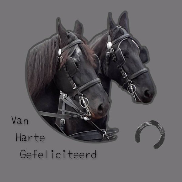 Zwarte paarden1