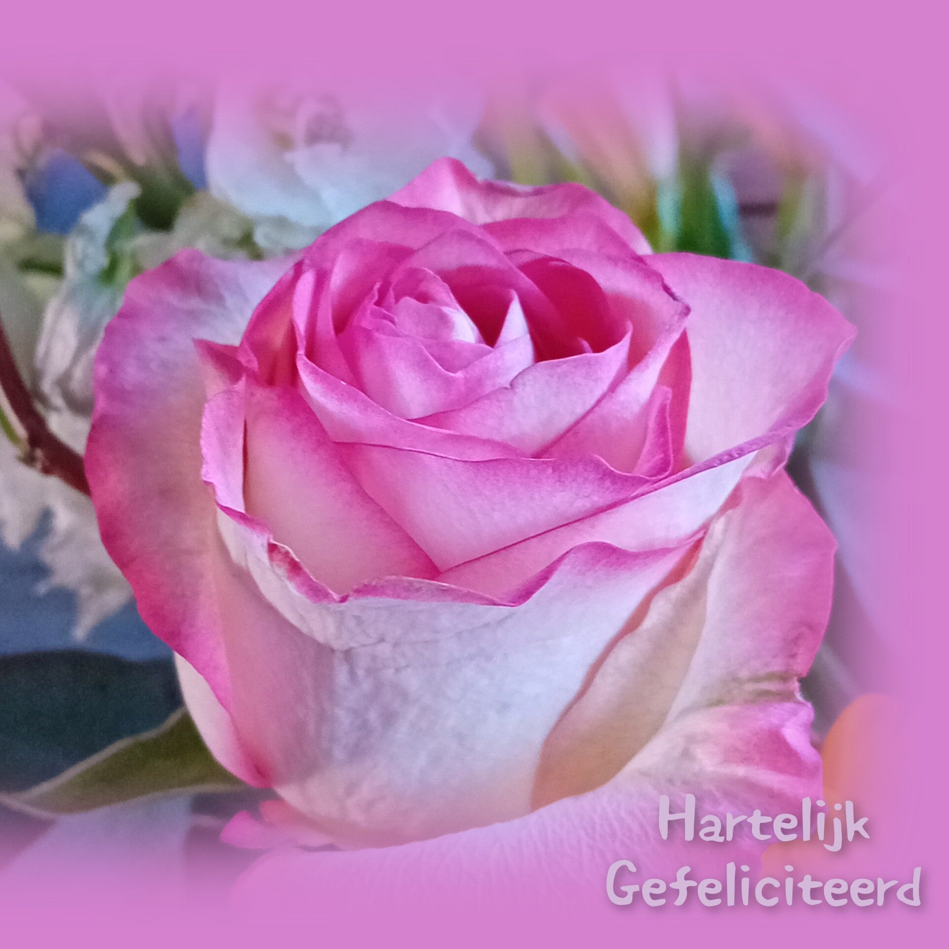 Bloemen 1