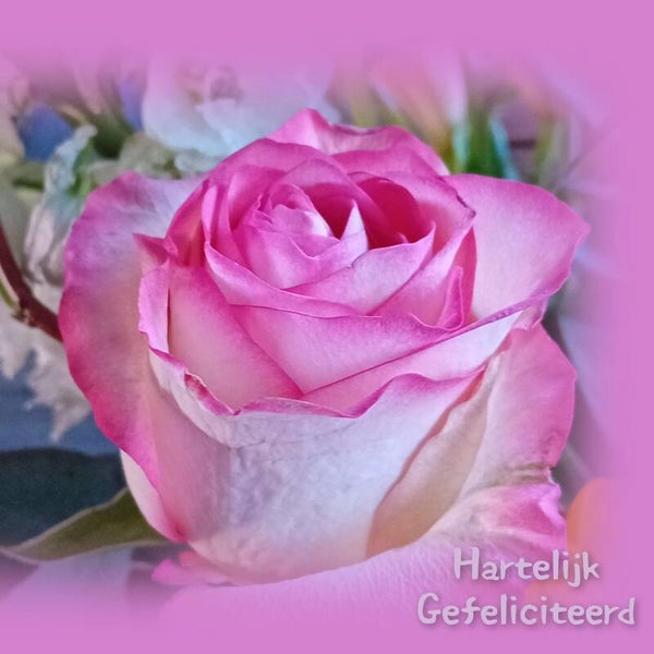 Bloemen 1