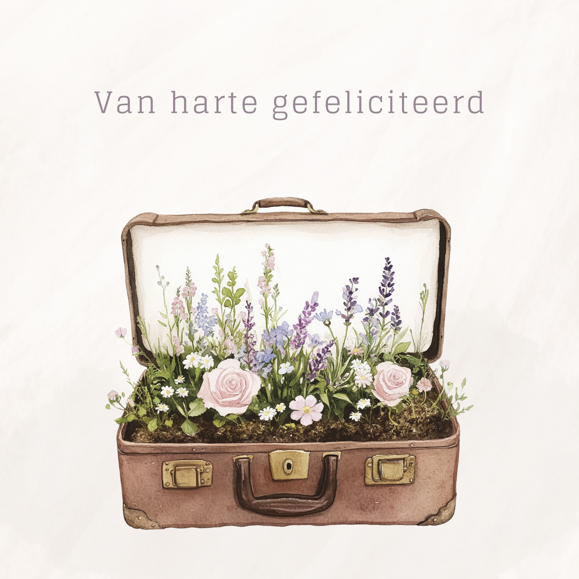 Gefeliciteerd-koffer