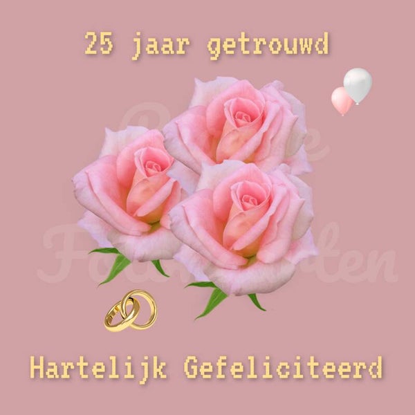 Roze rozen 25