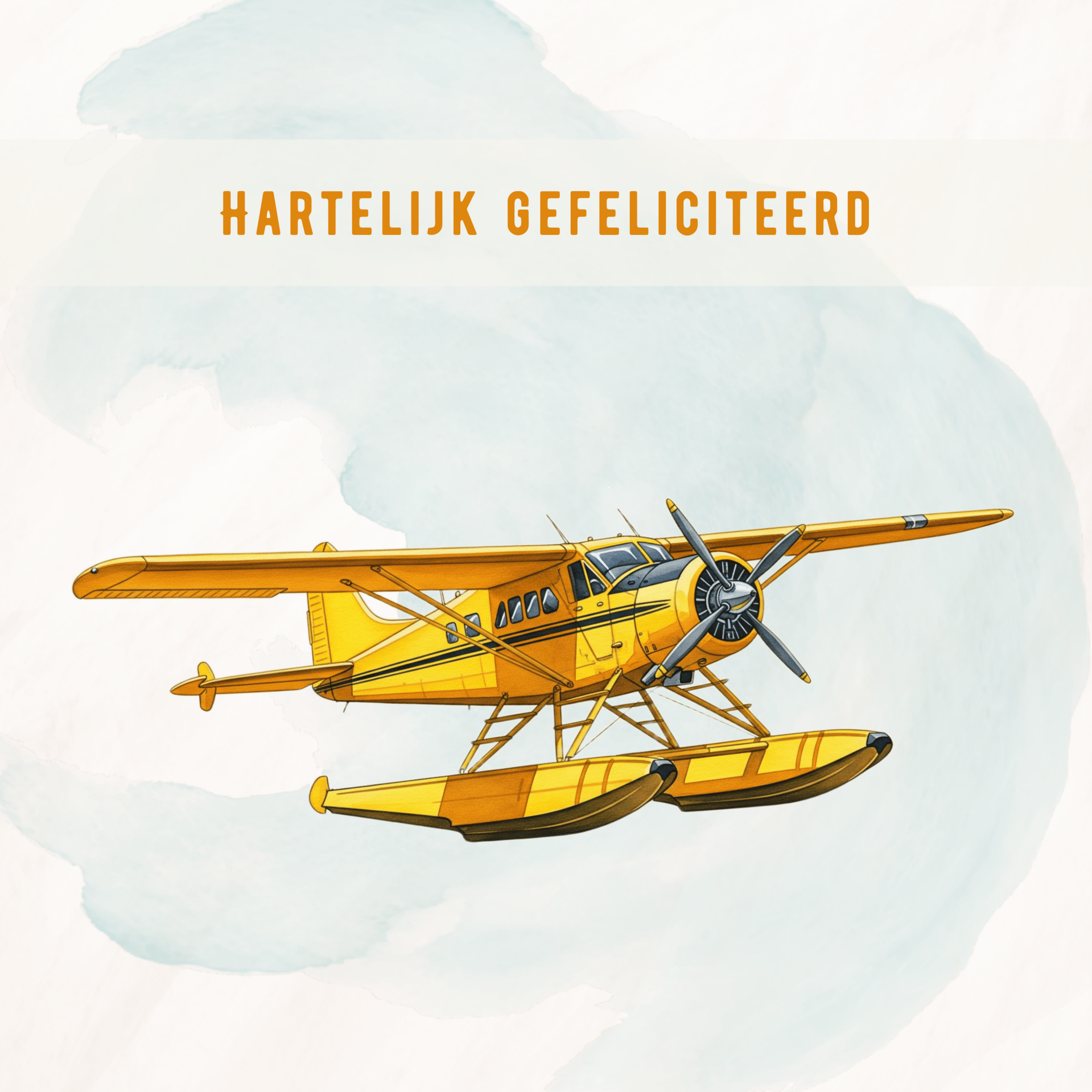 Gefeliciteerd-watervliegtuig
