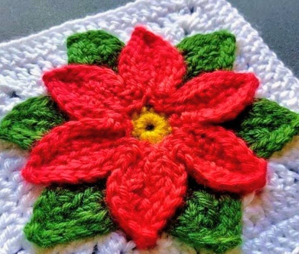 Poinsetta Granny Square Class ❄️🎄