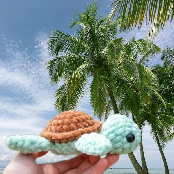 Crochet Mini Sea Turtle Class