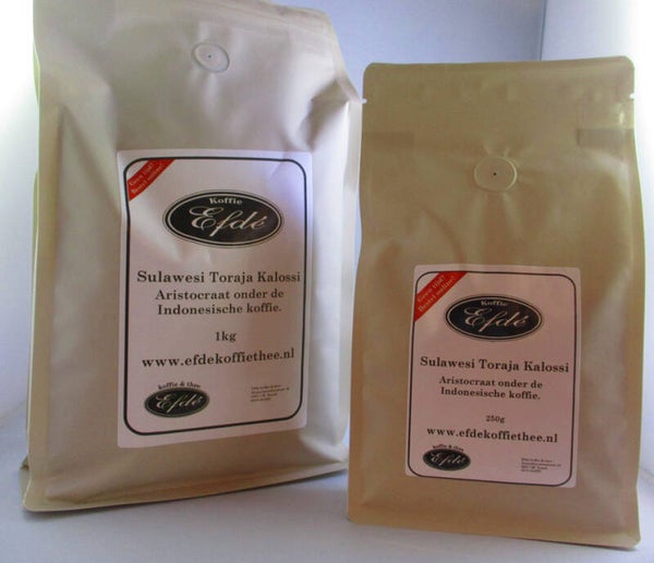 Sulawesi Toraja Kalossi