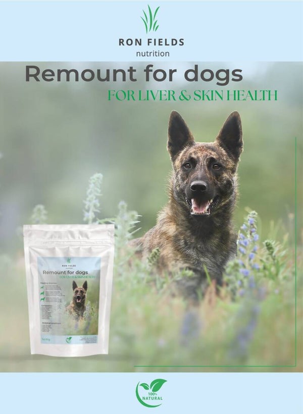 Remount for dogs/ Leber, Haut