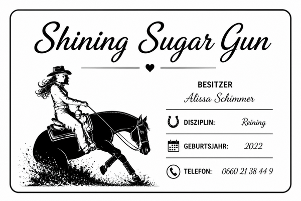 Personalisierte WellHorse Stalltafel (20 × 30 cm)