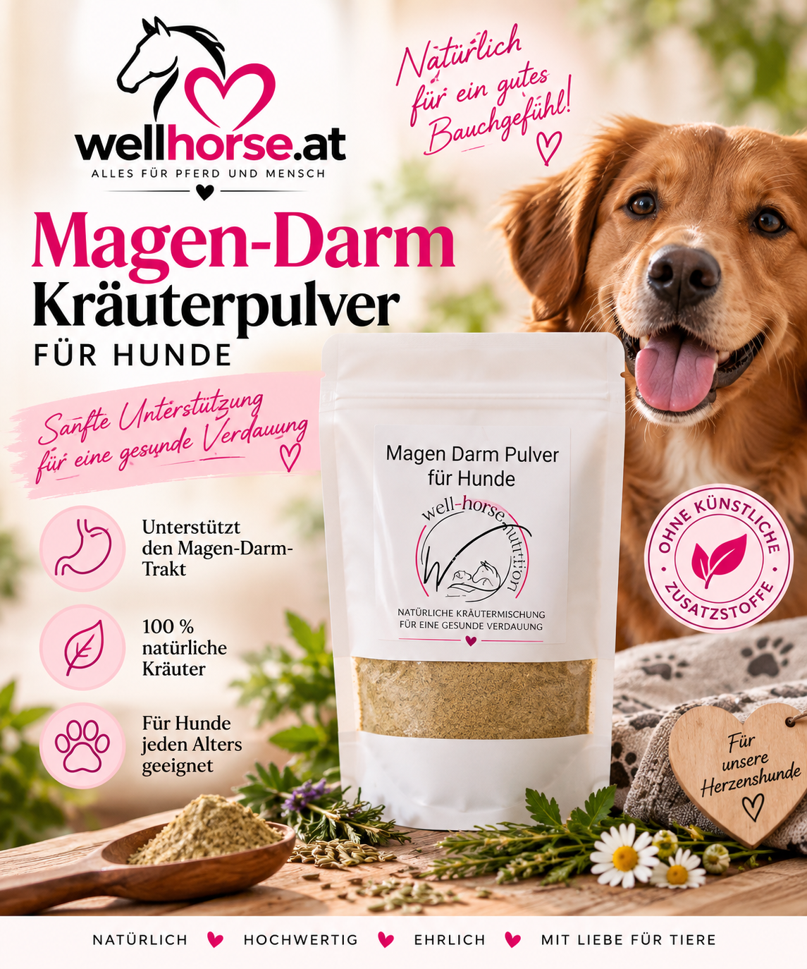 Magen- Darm Kräuterpulver für Hunde