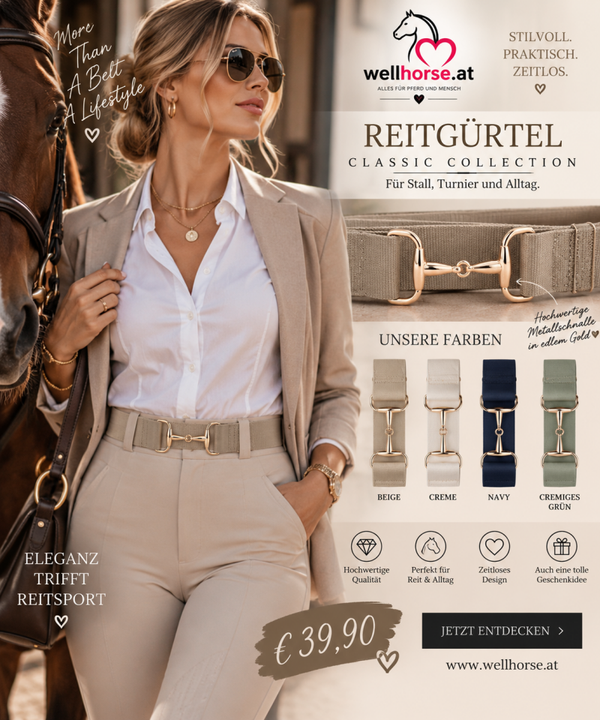 Reitgürtel New Collection 2026