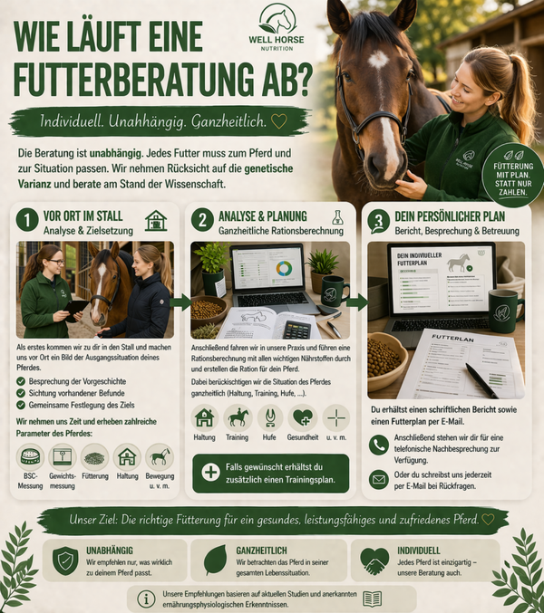 Pferd: Ernährungsberatung
