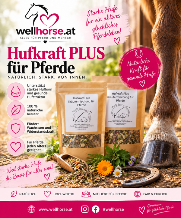 Hufkraft PLUS für Pferde