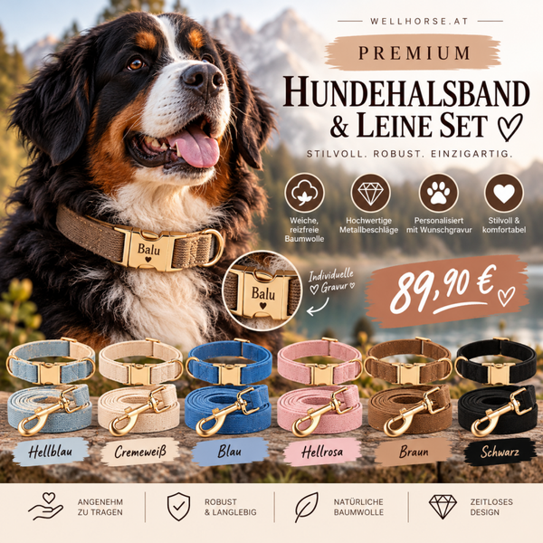 PREMIUM graviertes HUNDEHALSBAND & LEINEN-SET