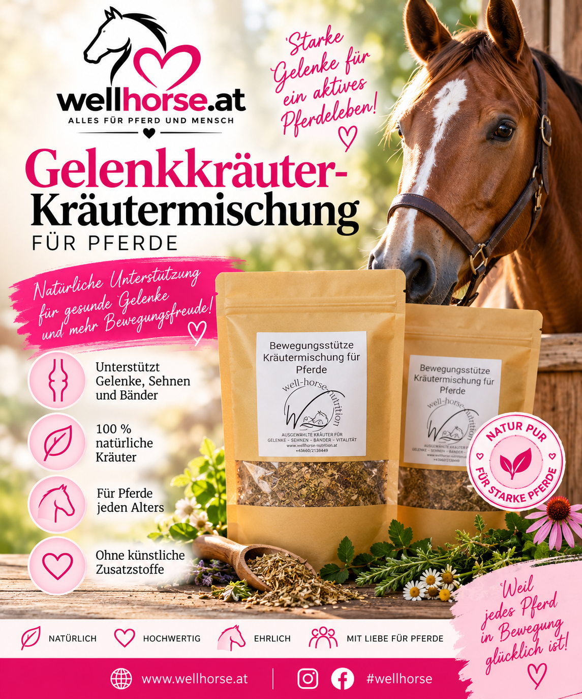 Gelenkkräuter- Kräutermischung für Pferde