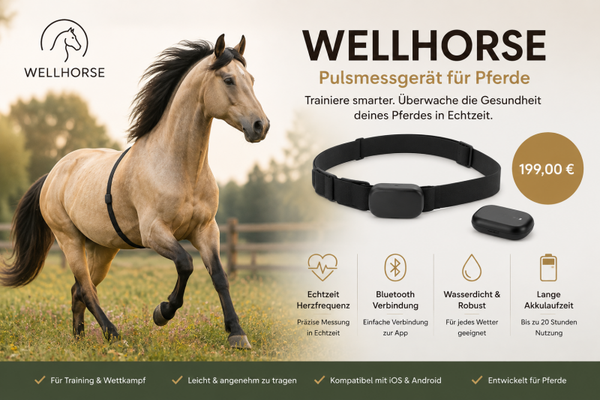 Pulsmessgerät gür Pferde