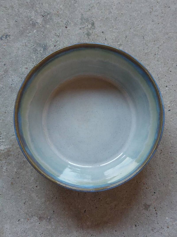 Blauw wit bruine schaal midden