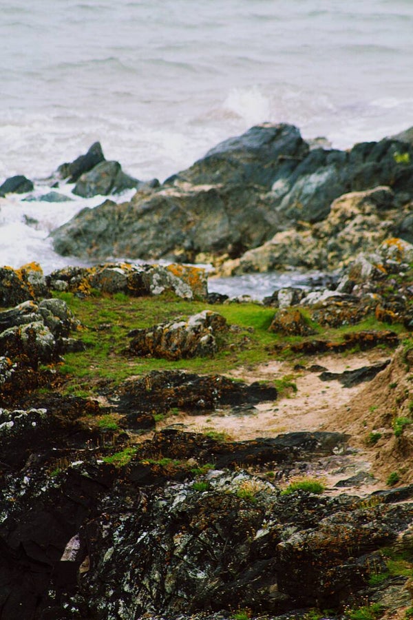 Greenery Amongst The Rocks