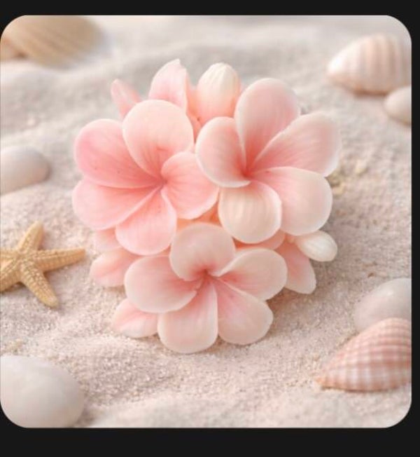 Plumeria