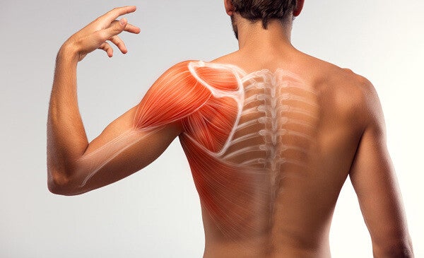 Integratore con collagene e magnesio per muscoli affaticati e dolori articolari.