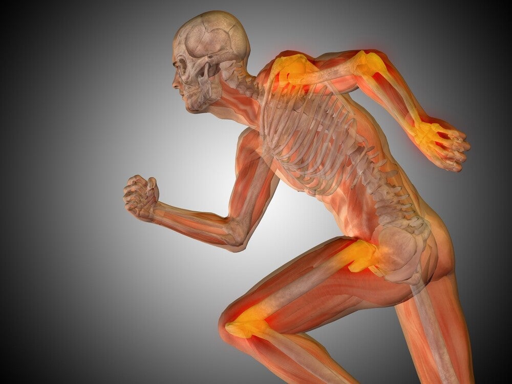 Dolore alle articolazioni e infiammazione: collagene bioattivo per cartilagine, ossa e mobilità
