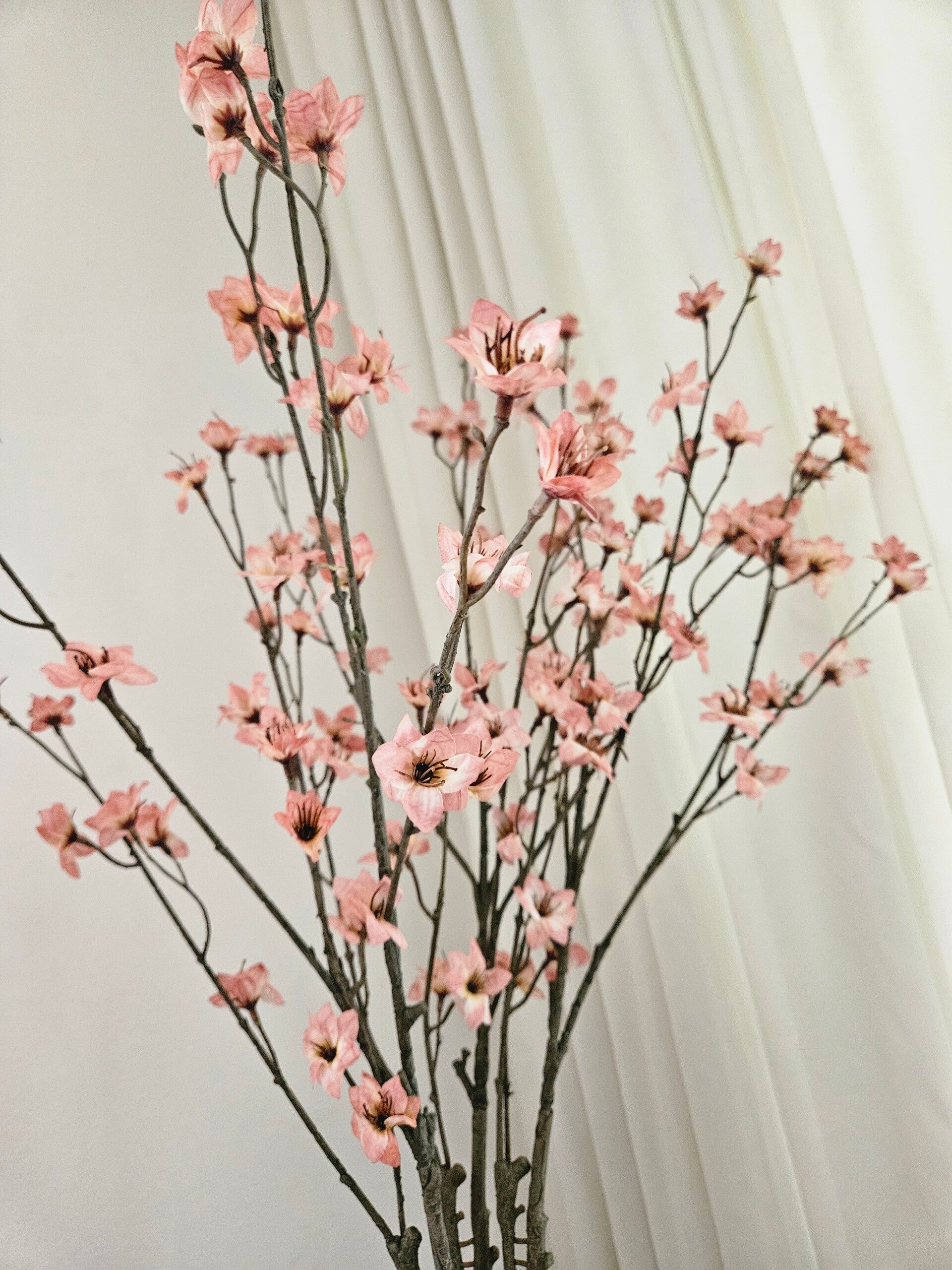 Zijdetak Cornus Old Pink