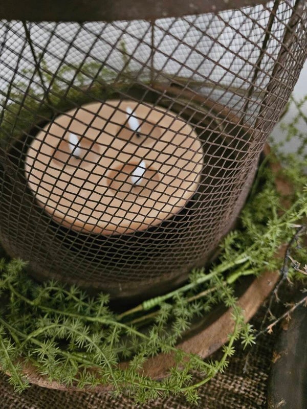 Stompkaars  LED S beige