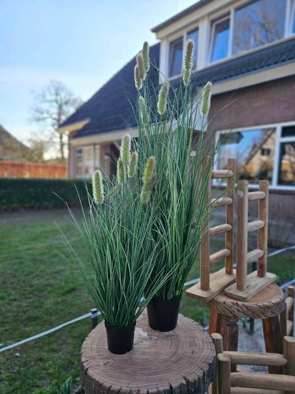 Kunst rietgras Phalaris 60cm