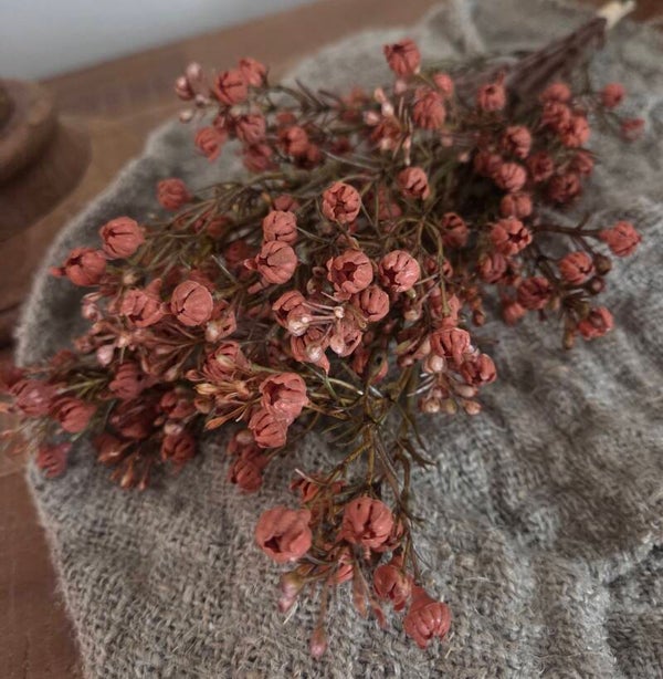 Gypsophilia bundle brown