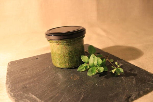 Vogelmiere-Pesto mit Olivenöl aus Kreta