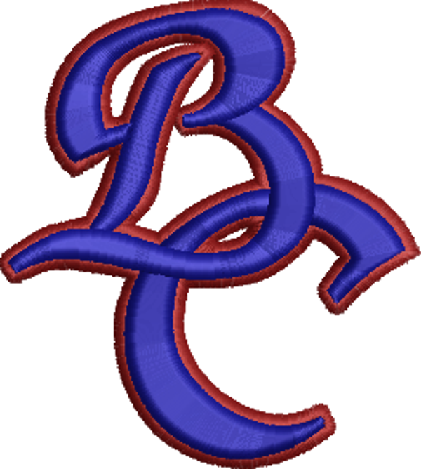 Brooks County School Logo