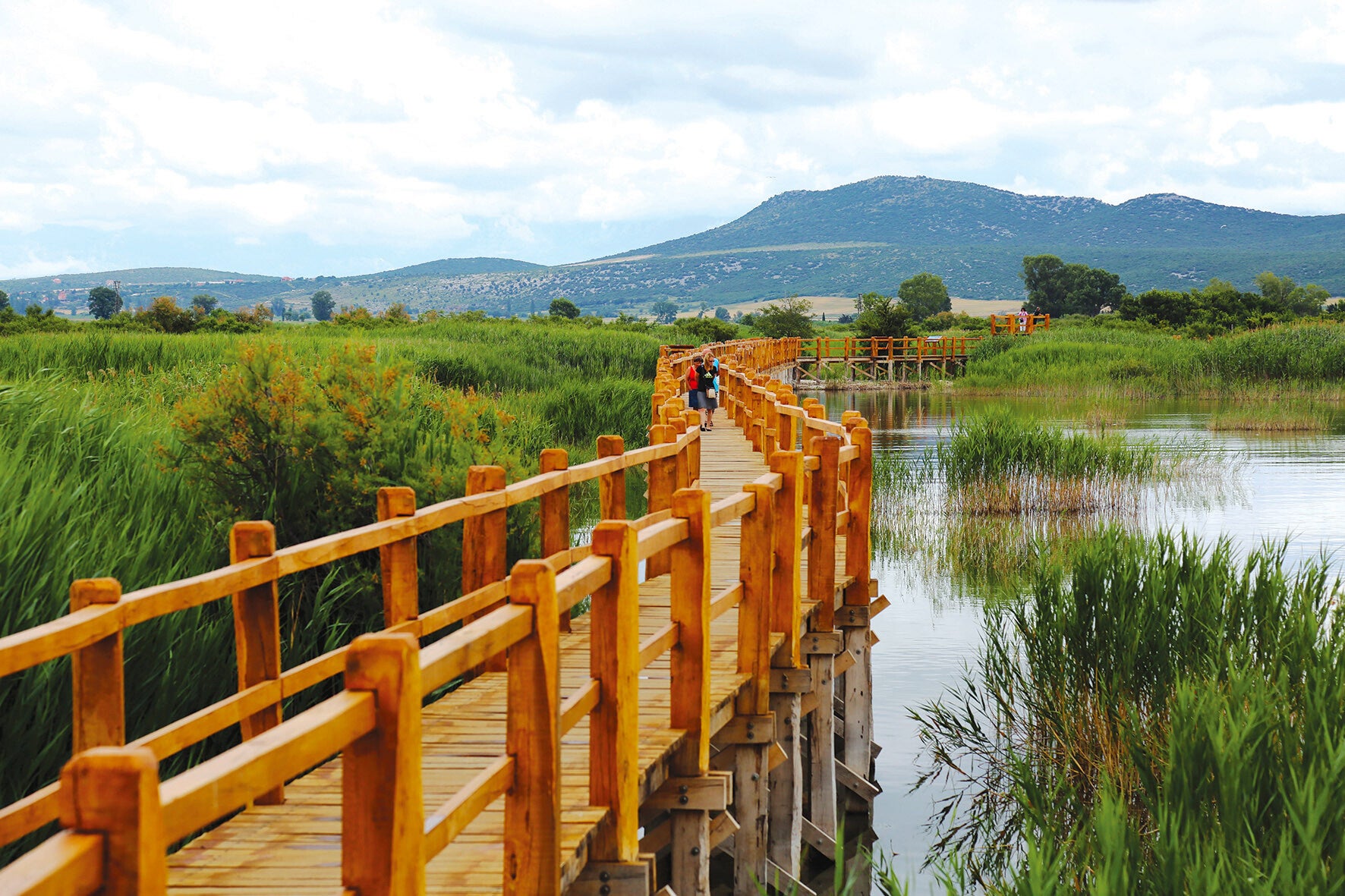 Taxi ride from Biograd to Vransko Lake Nature Park wooden educational trail