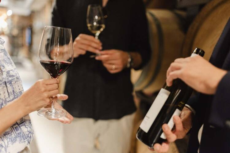 Private taxi transfer from Biograd na Moru to local vineyard and wine tasting tours