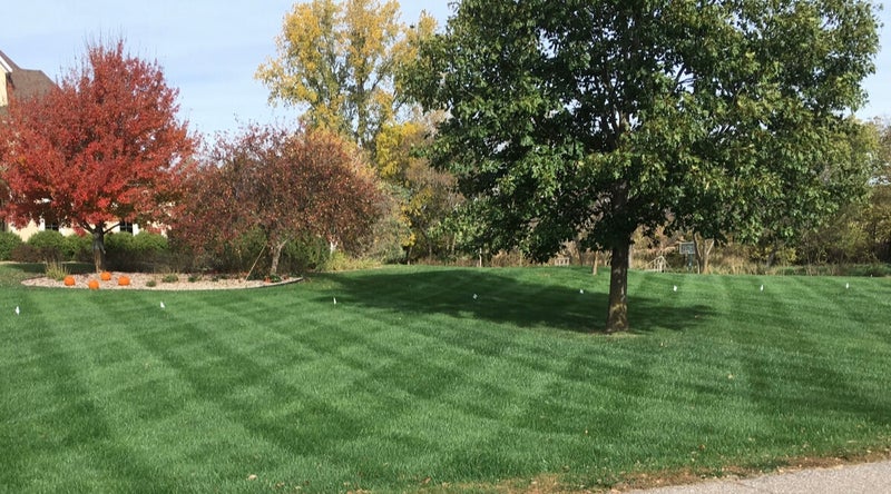 Fertilizing Services, Lawn care, mowing lincoln NE