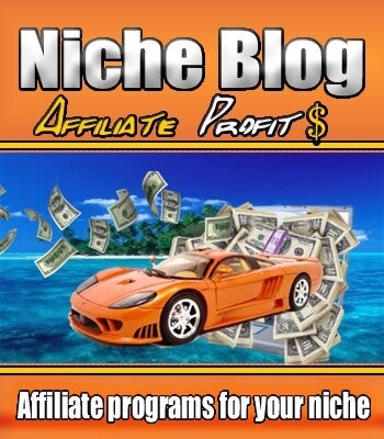 Niche Blog Affiliate Profits - License: MRR + Sales Page