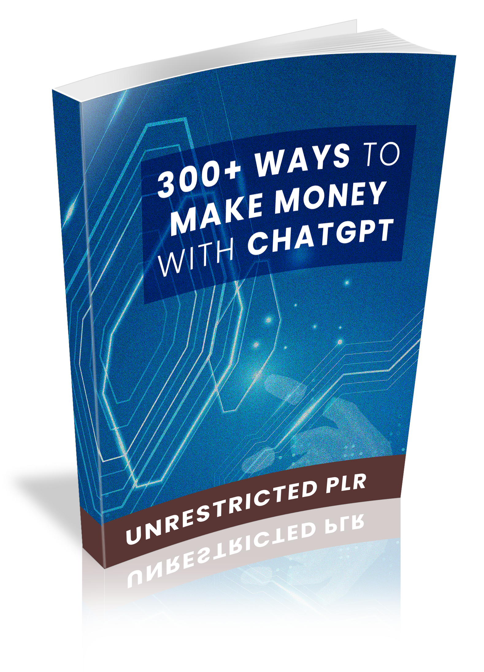 eBook 300+ Ways To Make Money With GPT - License: PLR