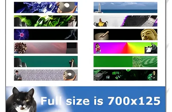 Success Graphics Web Design Package - License: MRR