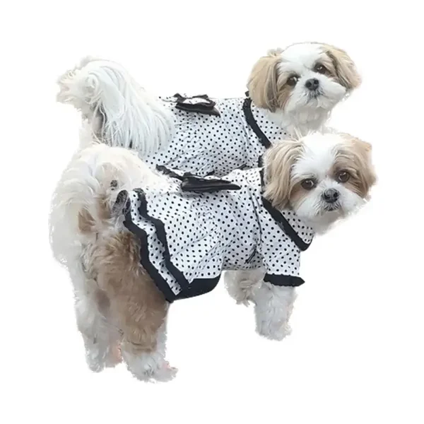 Doggy Dolly D121 (12+45)  Hundekleid Sommerkleid crème-schwarz Punkte