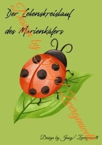 Der Lebenskreislauf des Marienkäfers (Digital)