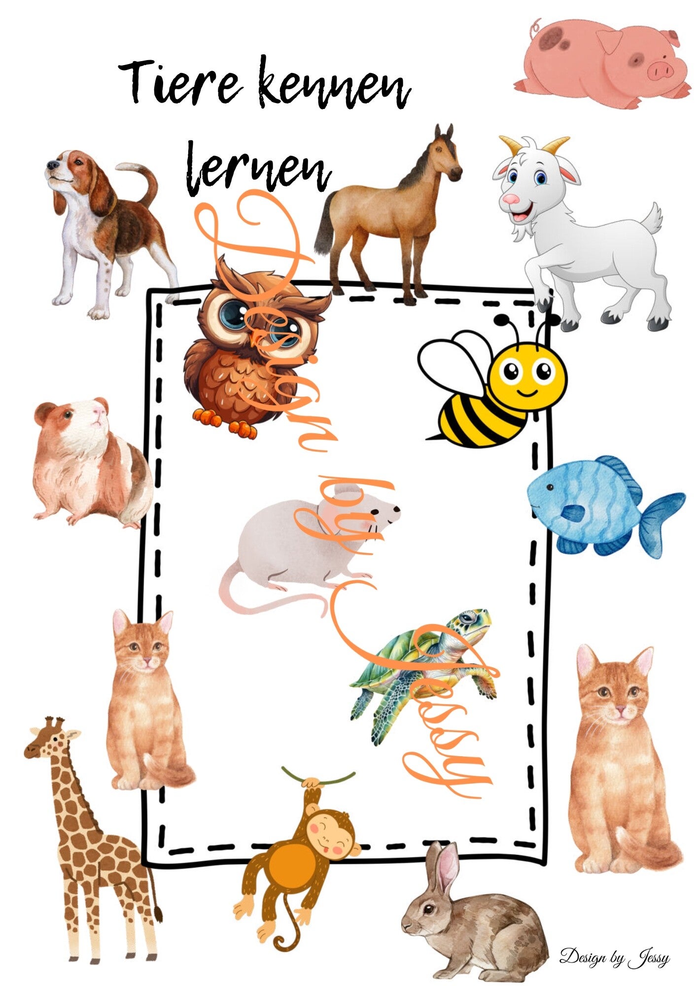 Bildkarten Tiere – erkennen, benennen und lernen