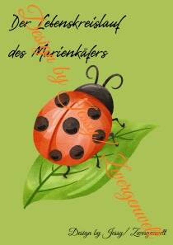 Der Lebenskreislauf des Marienkäfers (Digital)