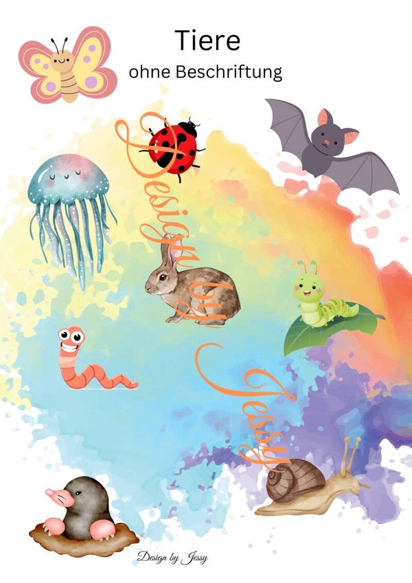 Bildkarten Tiere – erkennen und benennen