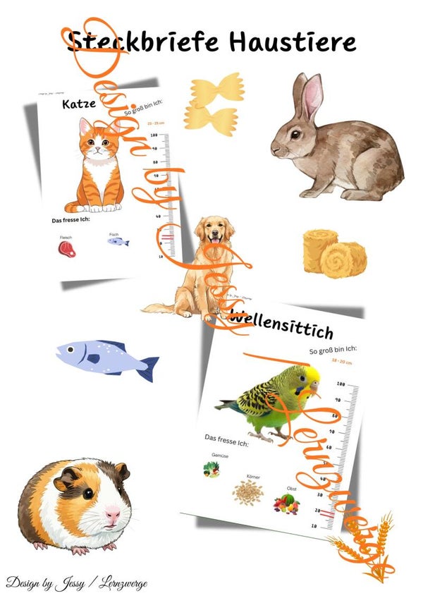 Steckbriefe Haustiere (Digital)