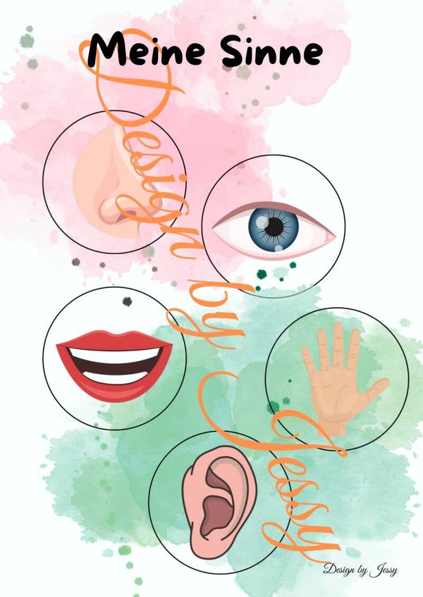 Klett-Mappen – Die Sinne