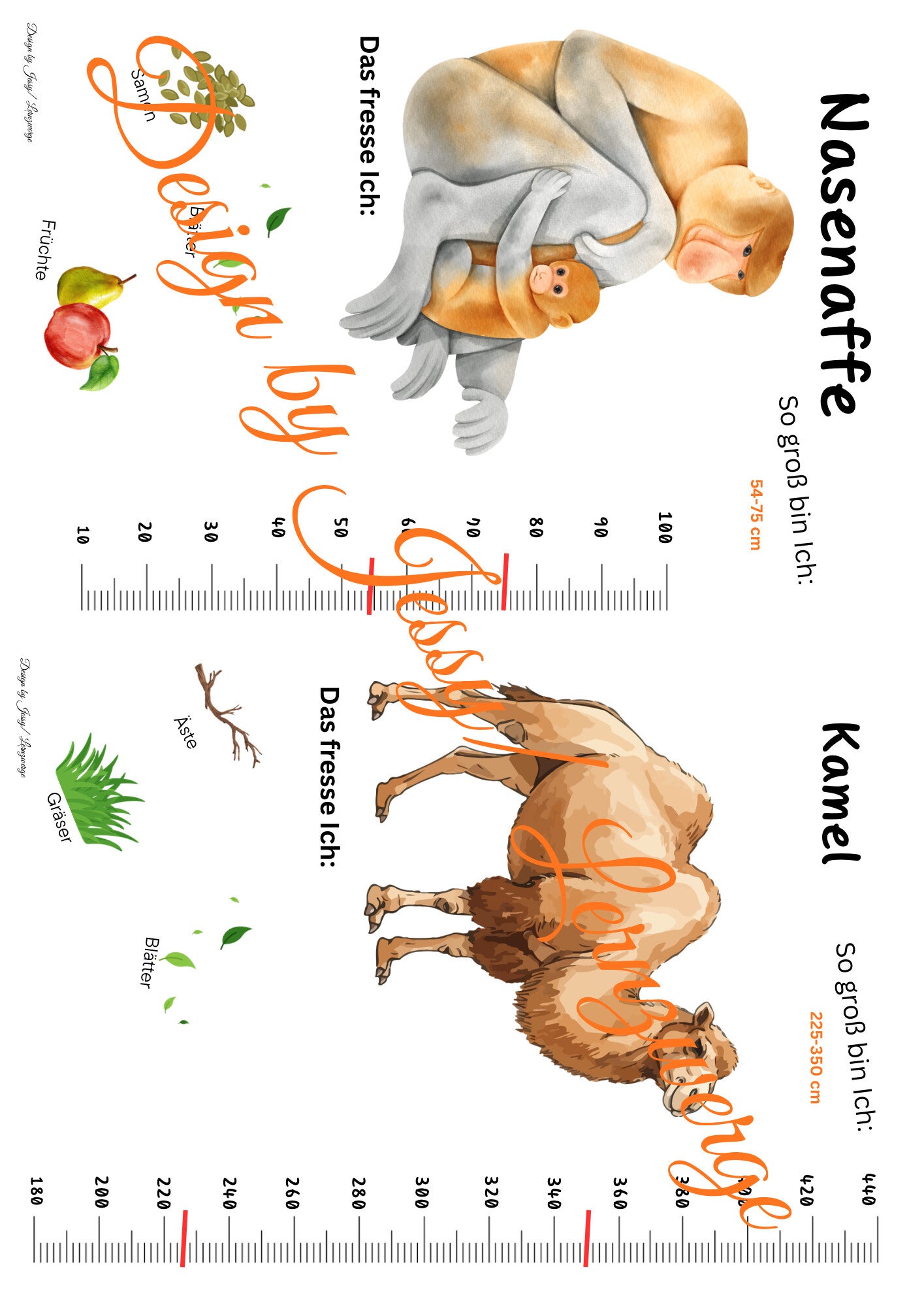 Steckbriefe Tiere Asien