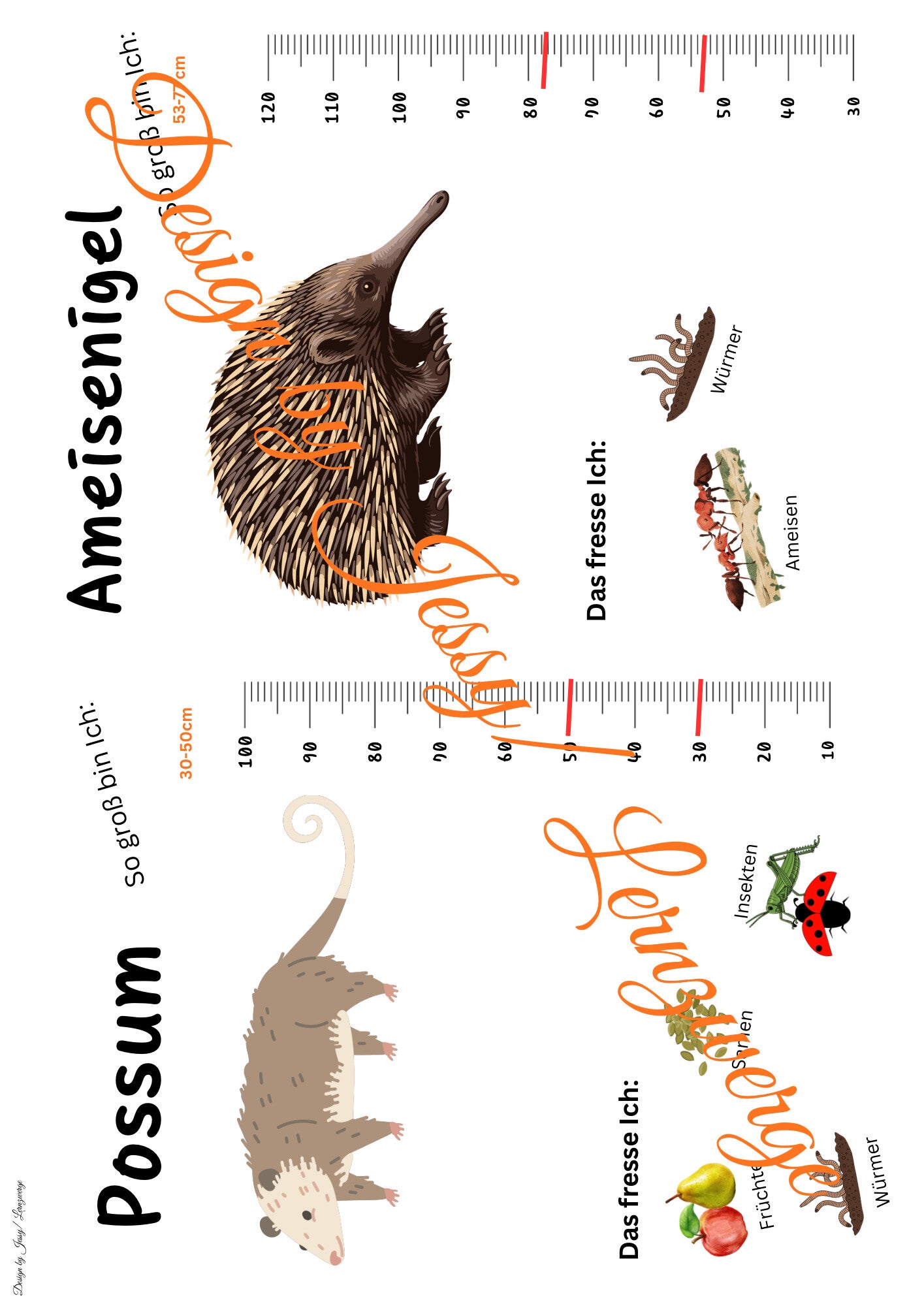 Steckbriefe Tiere Australien